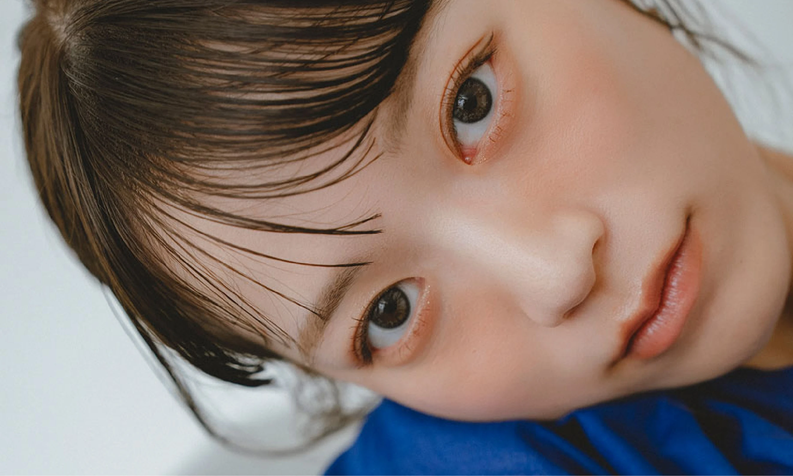 インフルエンサー事業